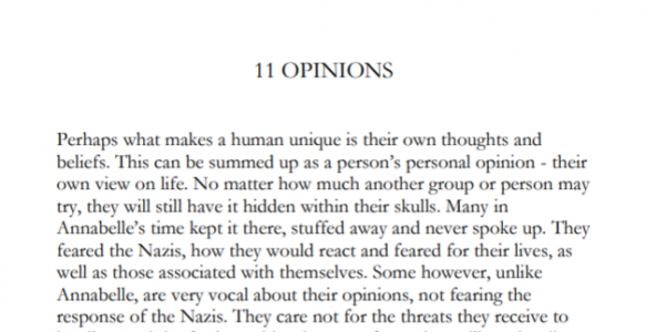 Chapter 11: Opinions